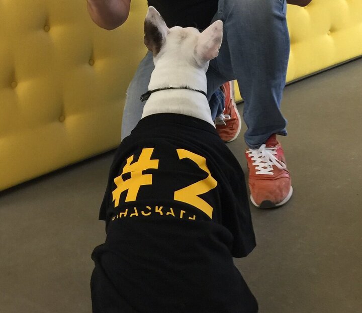 Hackathon-Teilnehmer Robert mit seinem Hund Loki im Event-T-Shirt